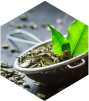 GREEN TEA EXTRACT